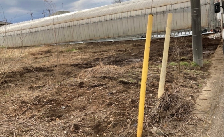 三富商会の回収によってっみえていなかった地面が買う任できるようになった畑