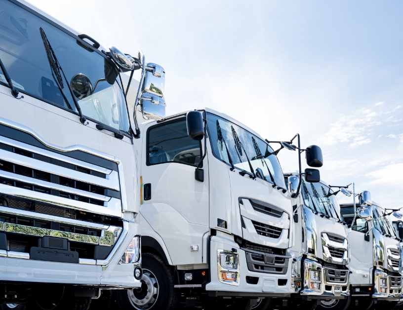 豊富な車両ラインナップの写真